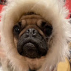 Meet your Posher, M_o.r_g.a_n